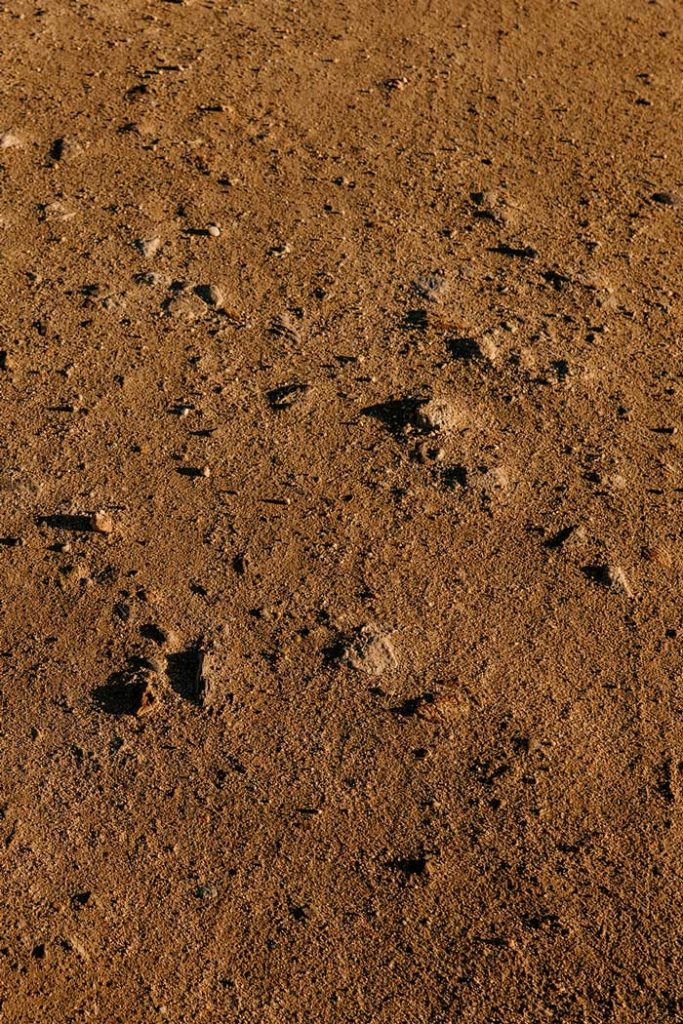 dirt-683x1024-1